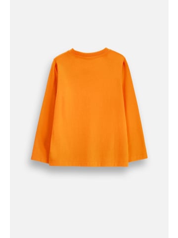 Coccodrillo Langärmliges Baumwoll-T-Shirt Halloween in orange