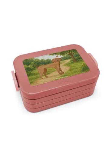 Mr. & Mrs. Panda Meal Prep Box Hund Dogge Design ohne Spruch in Rot Pastell