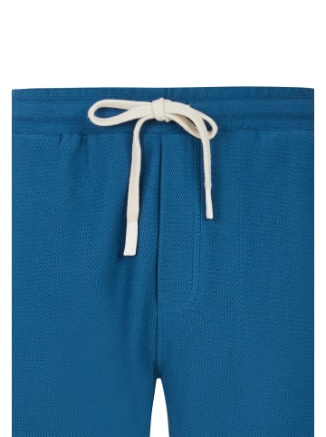 Protest " PRTGraig in Raku Blue