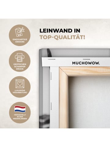 MuchoWow Leinwand bilder Schottisches Hochlandrind (BxH)