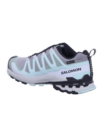 SALOMON Sport-Schuhe Schuhe XA PRO 3D V9 GTX W Qush/Lily in Grün