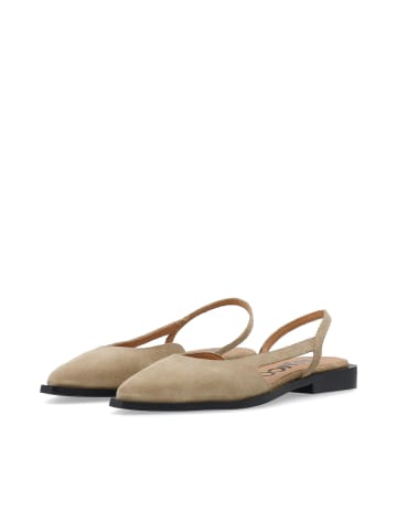 Bianco Slingbacks in Sand1