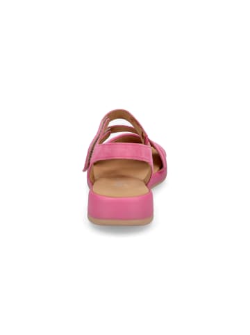 Gabor Comfort Sandale in Rosa