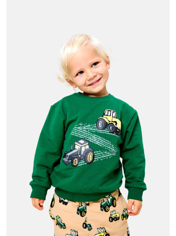 name it Sweatshirt 'Lavandin' in grün