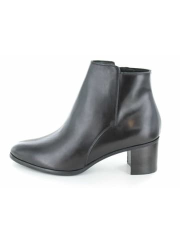 Accatino Stiefelette in schwarz