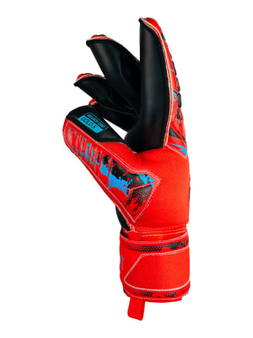 Reusch Torwarthandschuhe Attrakt Gold X Evolution Cut in 3333  brig red/futr blu/blck