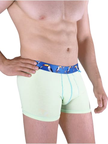 Unabux Boxer Briefs Motiv Mix in TUCAN DANDY