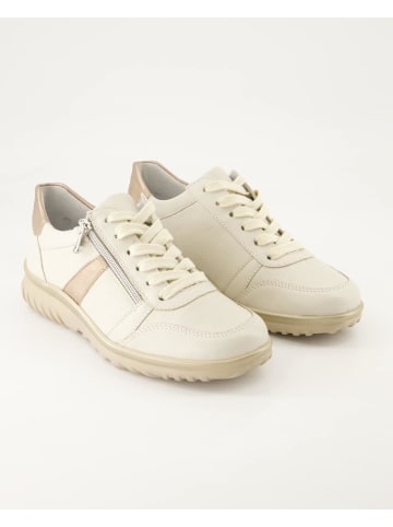 Semler Schnürschuhe in Beige