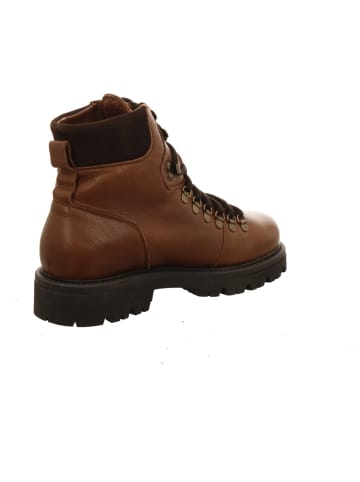 Werner Schnürstiefeletten in braun