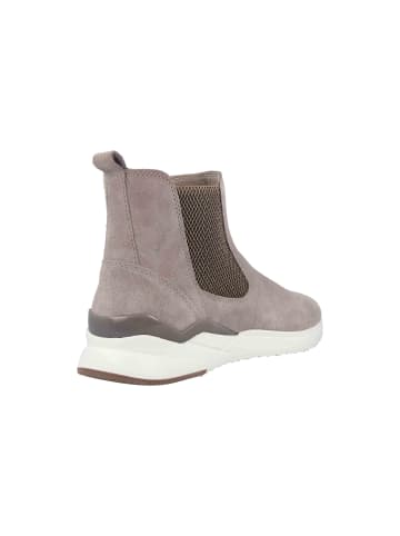 Gabor Stiefeletten in Beige