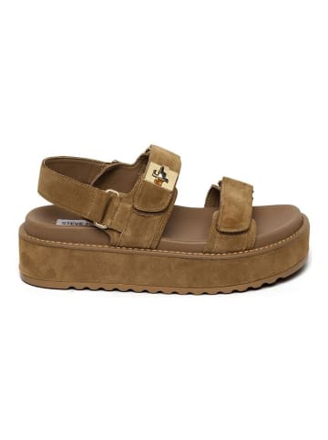 Steve Madden Sandalen in Tan