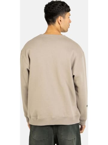 Reell Sweatjacke "Ease Crewneck" in Grau