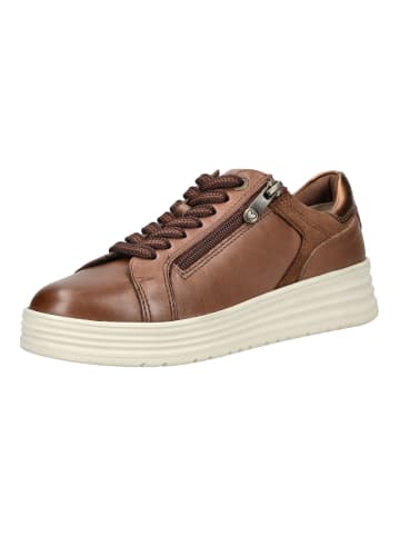 Marco Tozzi Sneaker in Braun