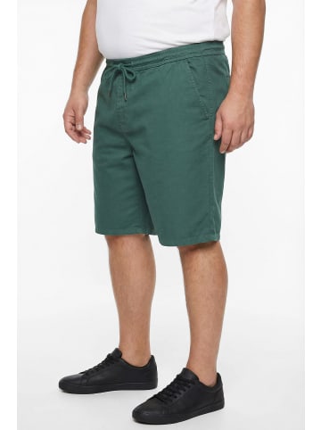 Men Plus Bermuda in grau grün