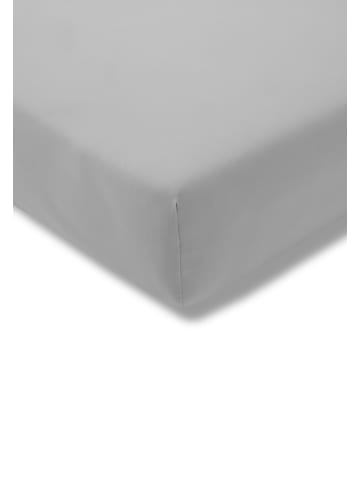 Estella Spannbetttuch Feinjersey in platin