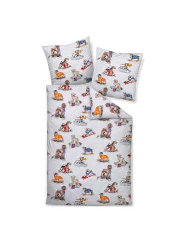 Janine Bettwäsche 42169-09 in multicolor