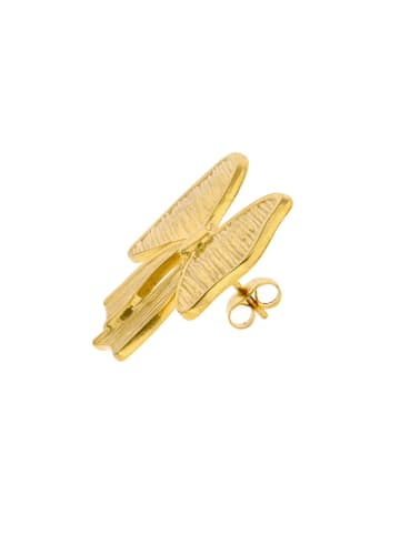 myMo Women Earrings in Gold