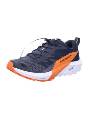 SALOMON Outdoorschuh in grau