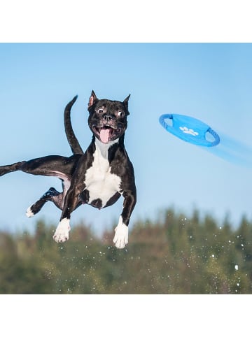 relaxdays 10tlg. Hundespielzeug Set