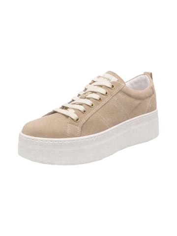 Nero Giardini SHOES "VELOUR FEMME PU.MONOD.FIUMARA L18" in Femme