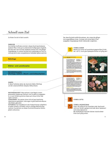 Franckh-Kosmos Essbare Pilze und ihre giftigen Doppelgänger | Pilze sammeln - aber richtig