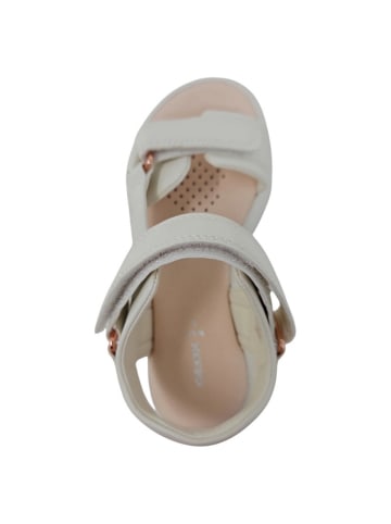 Geox Sandale  in Beige