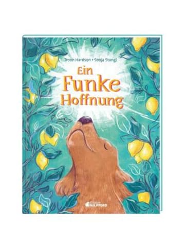 G & G Verlagsgesellschaft Buch - Ein Funke Hoffnung