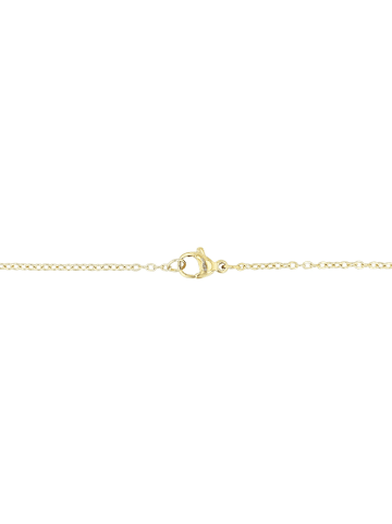 Adeliás Damen Halskette – Ankerkette aus Edelstahl mit Perlmutt 45 cm in gold