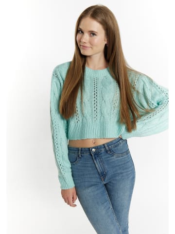 myMo Strick Cropped Pullover in Aqua