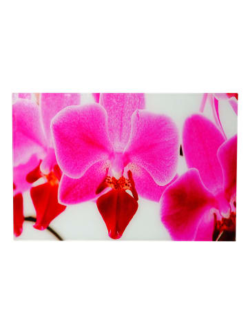 MCW Glasbild T117, Orchidee