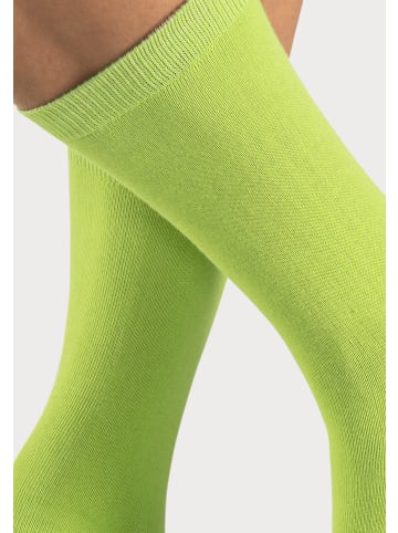 Bench Basicsocken in 1x grün, 1x pink, 1x schwarz, 1x hellblau