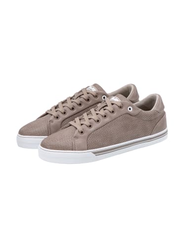 JOOP! Sneaker 'Vegas Ice in Taupe'