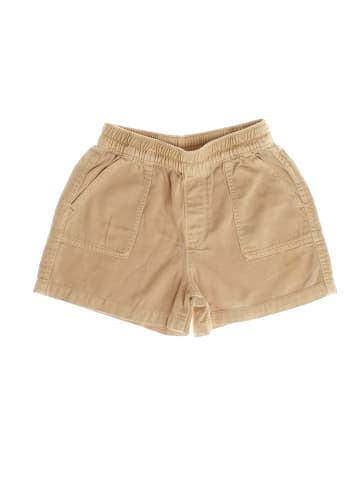 GAP Shorts in Brown