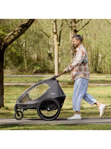 Hauck 2in1 Fahrradanhänger Dryk Duo für 2 Kinder in grau,schwarz