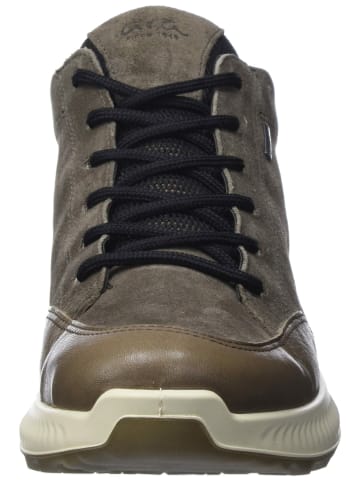 ara Freizeit Schnürer für Damen in grau