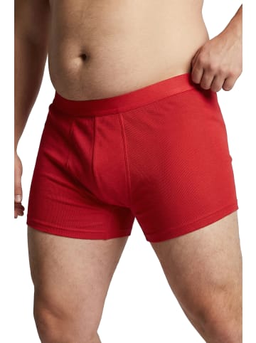 Men Plus Pants in rubinrot