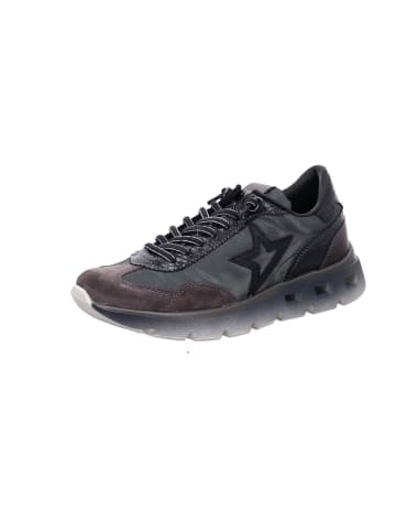 Cetti Sportliche Schnürschuhe in Grau