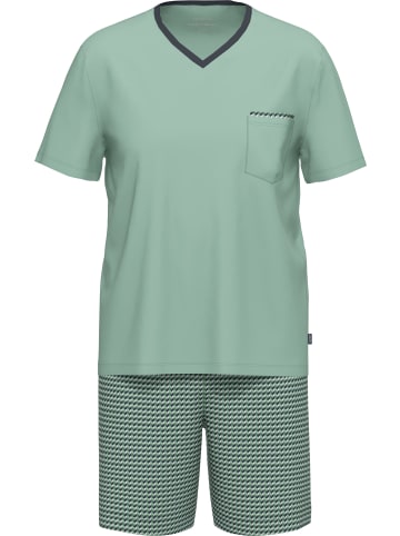 Ammann Single-Jersey Bio Shorty in lindgrün