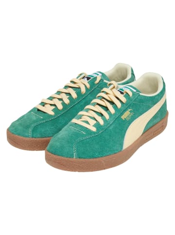 Puma Puma Turnschuhe in vine/light straw