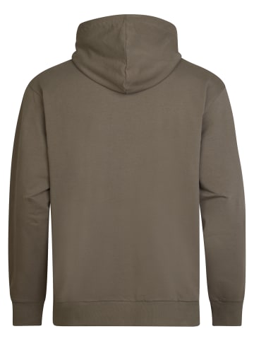 Petrol Industries Bequemer Hoodie Greenbay in Grün