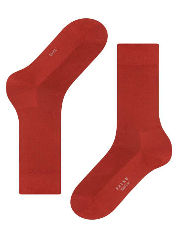 Falke Socken Family in Terra