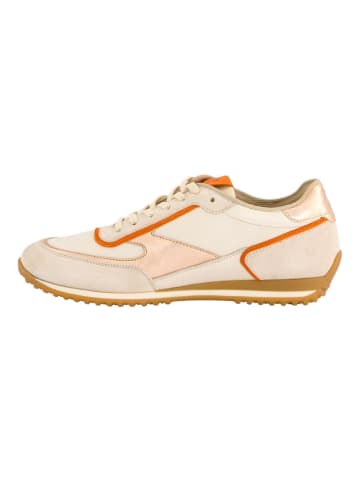 Paul Green Sneaker Beige/Weiß