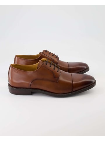 DIGEL Anzug- & Businessschuhe in Braun