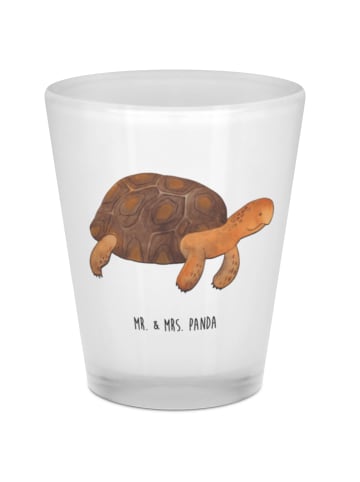Mr. & Mrs. Panda Schnapsglas Schildkröte MHerzieren ohne Spruch in Transparent