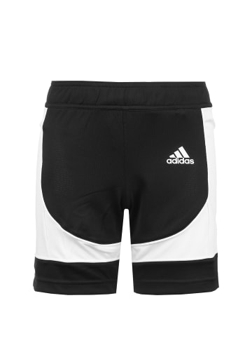 adidas Performance Funktionsshorts N3XT L3V3L Prime Game in schwarz / weiß