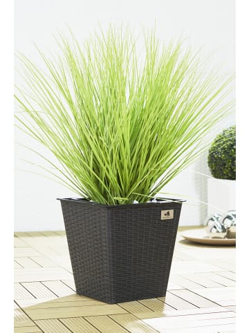 Gartenfreude 2er Set Polyrattan Pflanztöpfe in Anthrazit