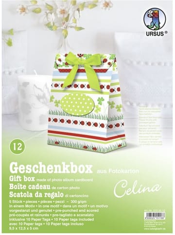 Buntpapierfabrik Ludwig Bähr Geschenkbox Celina 9,5x12,5x5cm Packung mit 5 Stück Motiv: 12