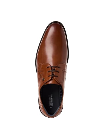 Marco Tozzi BY GUIDO MARIA KRETSCHMER Halbschuh in cognac