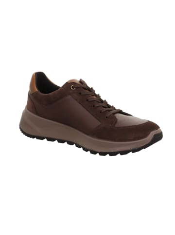 Legero Sneakers Low ANZIO in Corvino Braun