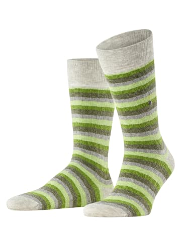 Falke Socken Signature Stripe Herren in Storm grey